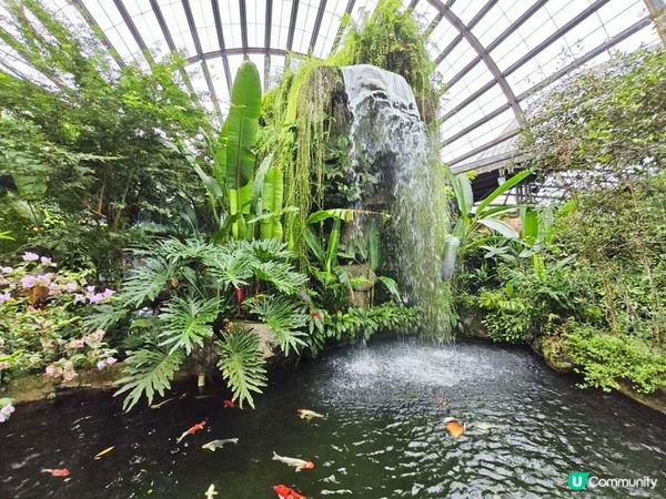 奇遇檳城。馬來西亞檳城浮羅交怡親子遊記。Day 7