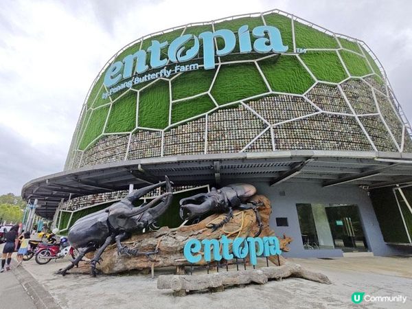 奇遇檳城。馬來西亞檳城浮羅交怡親子遊記。Day 7