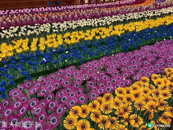 香港好去處 | 新春商場佈置 | MOSTown新港城中心 | 又一城