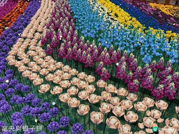 香港好去處 | 新春商場佈置 | MOSTown新港城中心 | 又一城