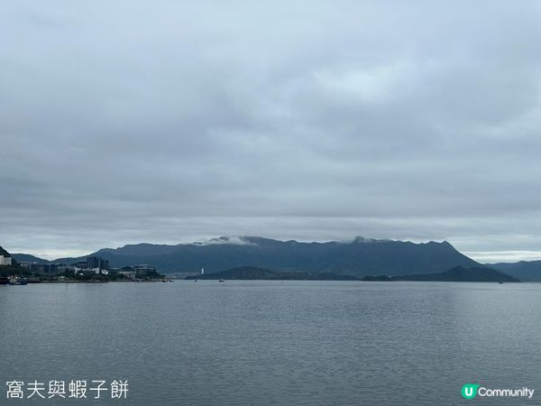 香港好去處 | 賞櫻 | 石門安景街公園 | 馬鞍山恆明街休憩處