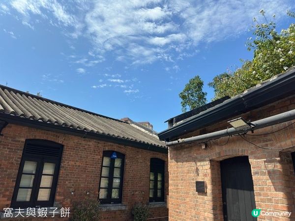 香港好去處 | 賞花 | 饒宗頤文化館 | 鬱金香