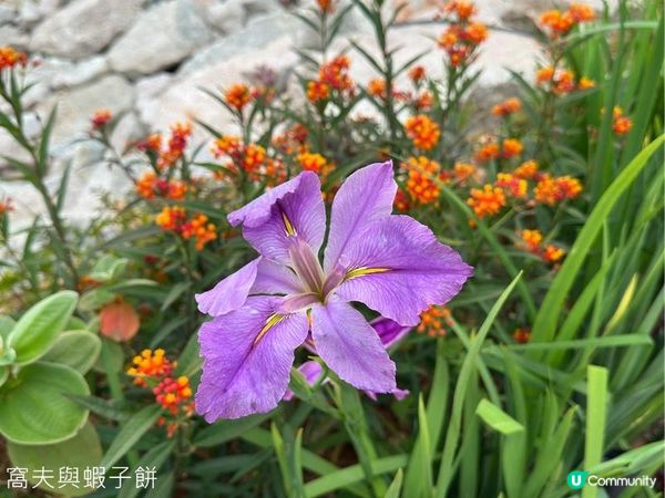 香港好去處 | 馬灣1868 | 打卡必去彩虹村莊