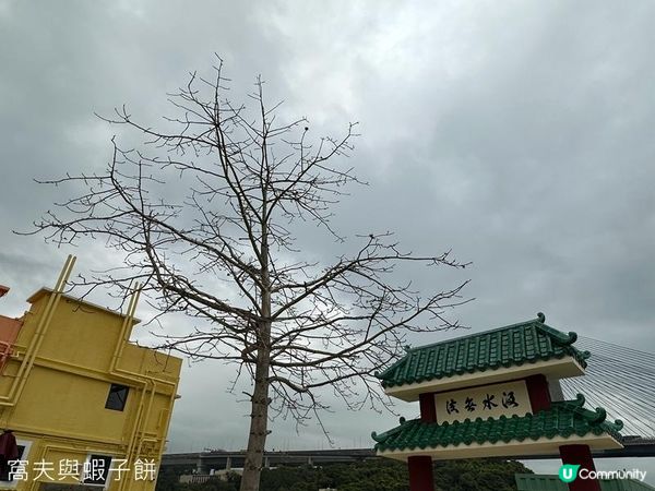 香港好去處 | 馬灣1868 | 打卡必去彩虹村莊