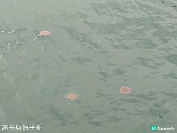 香港好去處 | 馬灣1868 | 打卡必去彩虹村莊