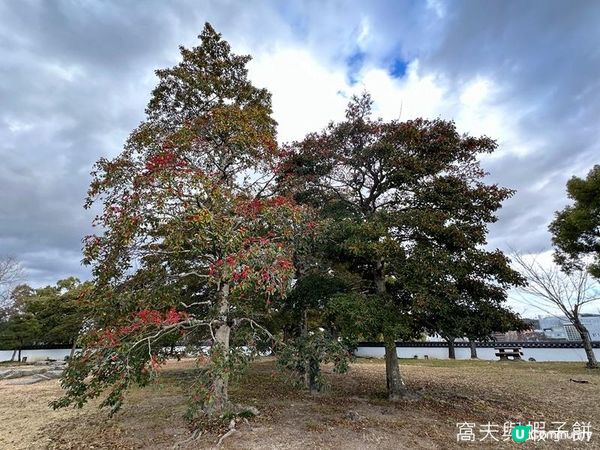 日本關西廣域八天之旅 | 岡山 | 岡山城