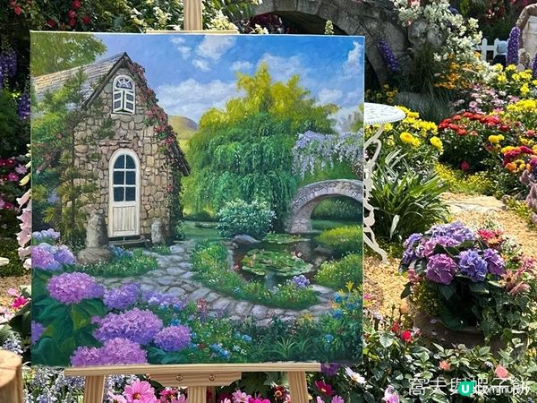 香港好去處 | 賞花 | 維園花展 | 繡球花