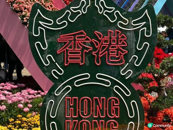 香港好去處 | 賞花 | 維園花展 | 繡球花