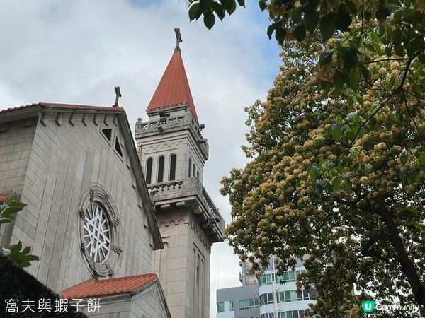 香港好去處 | 復活節賞花(上) | 魚木 | 藍花楹