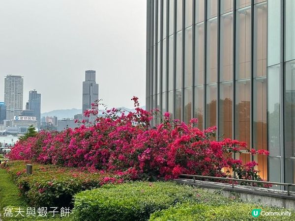 香港好去處 | 金鐘 | 添馬公園舞動水滴展