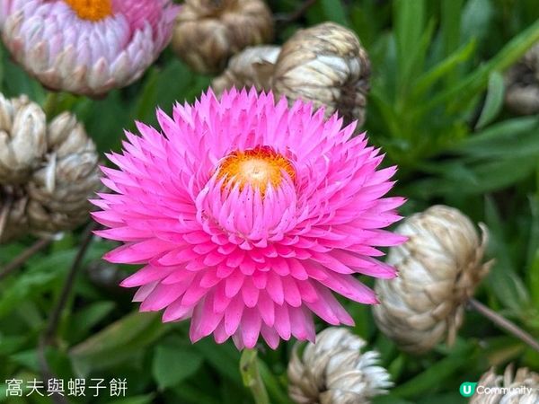 香港好去處 | 金鐘 | 添馬公園舞動水滴展