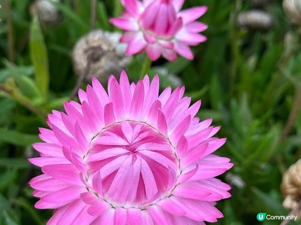 香港好去處 | 金鐘 | 添馬公園舞動水滴展