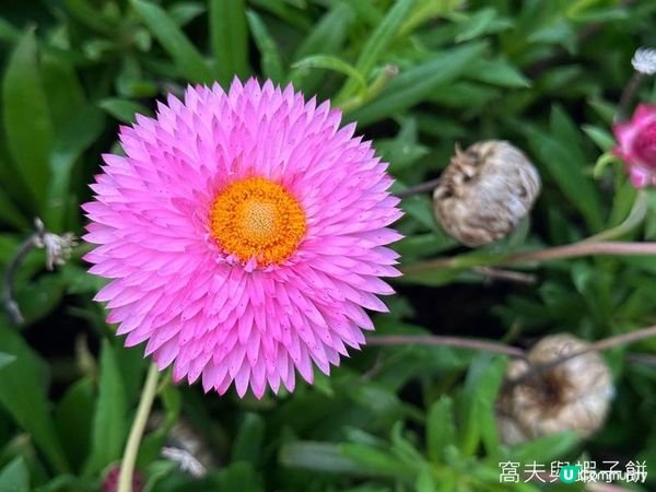 香港好去處 | 金鐘 | 添馬公園舞動水滴展