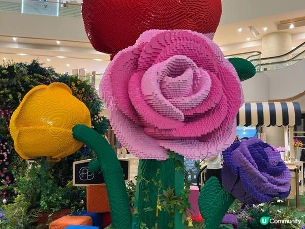 香港好去處 | 展覽 | 金鐘太古廣場 | 全港首個樂高植物園