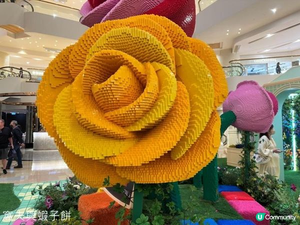香港好去處 | 展覽 | 金鐘太古廣場 | 全港首個樂高植物園