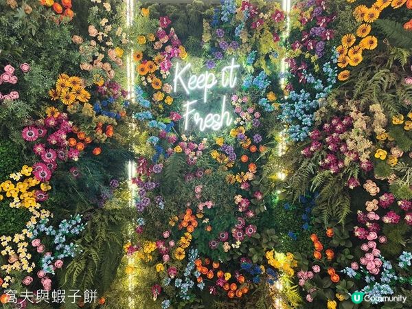 香港好去處 | 展覽 | 金鐘太古廣場 | 全港首個樂高植物園