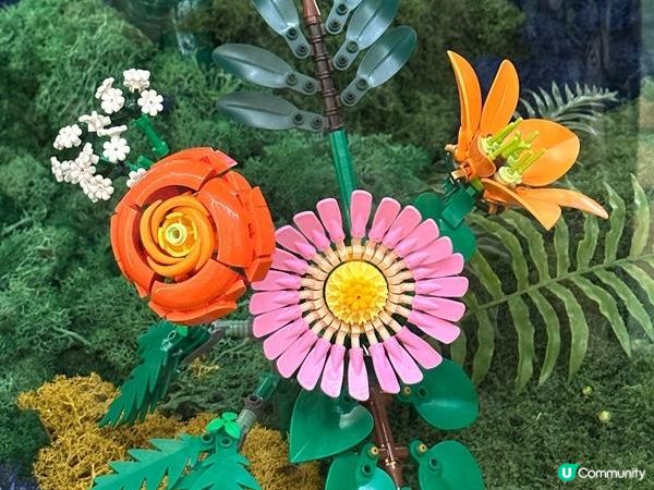 香港好去處 | 展覽 | 金鐘太古廣場 | 全港首個樂高植物園