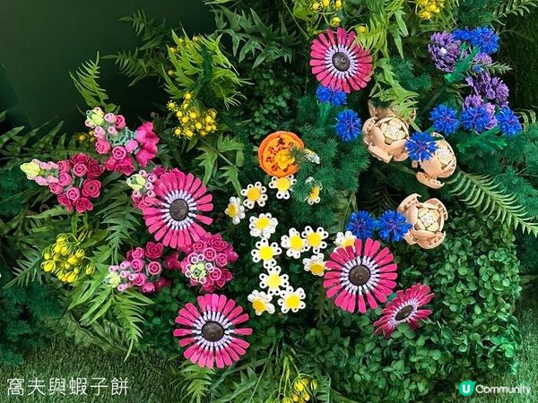 香港好去處 | 展覽 | 金鐘太古廣場 | 全港首個樂高植物園