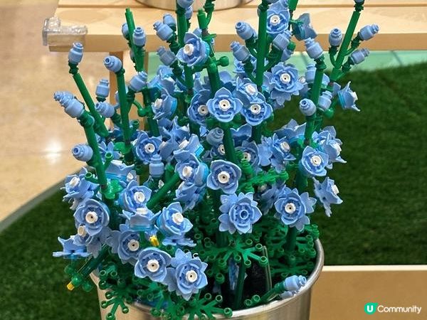 香港好去處 | 展覽 | 金鐘太古廣場 | 全港首個樂高植物園