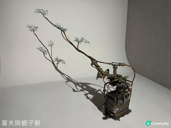 香港好去處 | 香港藝術館 | 徐冰在香港 | 好物有型