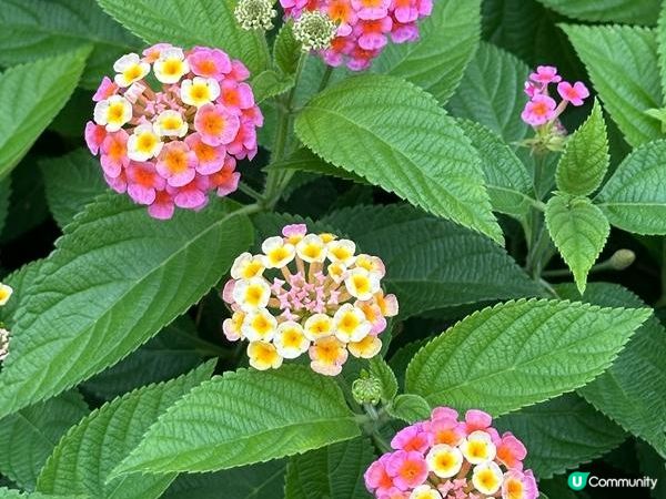 香港好去處 | 坐港鐵遊香港 | 啟德站