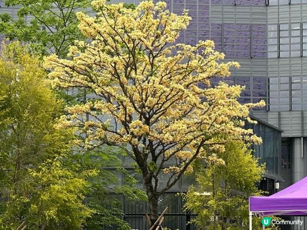 香港好去處 | 坐港鐵遊香港 | 啟德站