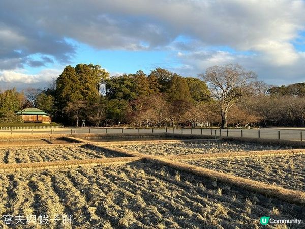 日本關西廣域八天之旅 | 岡山 | 後樂園