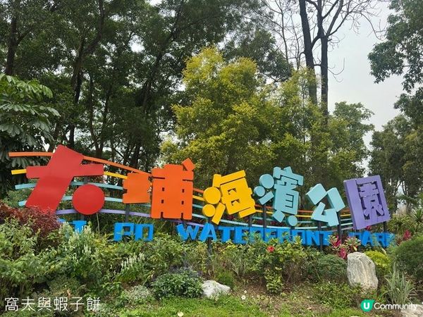 香港好去處 | 賞花 | 大埔海濱公園至科學園