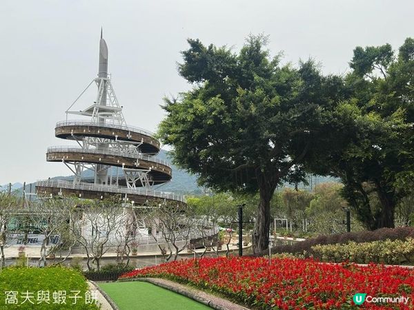 香港好去處 | 賞花 | 大埔海濱公園至科學園