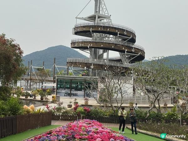 香港好去處 | 賞花 | 大埔海濱公園至科學園