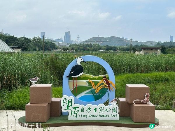 香港好去處 | 賞花 | 塱原自然生態公園 | 荷花 (上)
