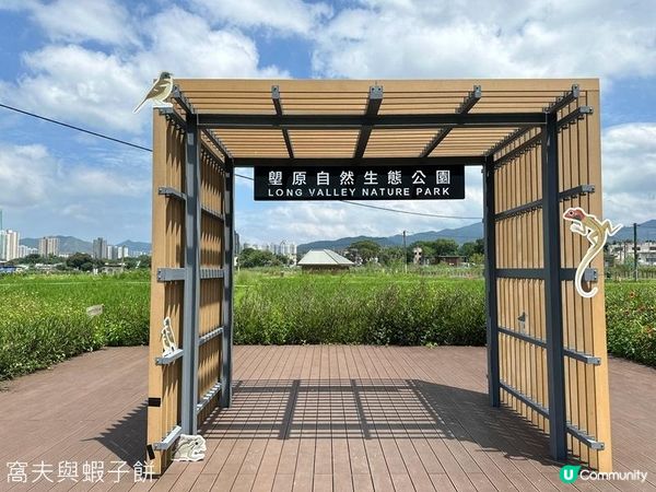 香港好去處 | 賞花 | 塱原自然生態公園 | 荷花 (下)