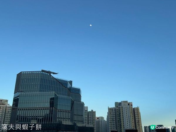 食在啟德 | WOWDON | 冰鎮寬條烏冬叫人一吃愛上