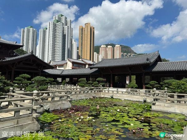 香港好去處 | 賞花 | 志蓮淨苑 | 蓮花