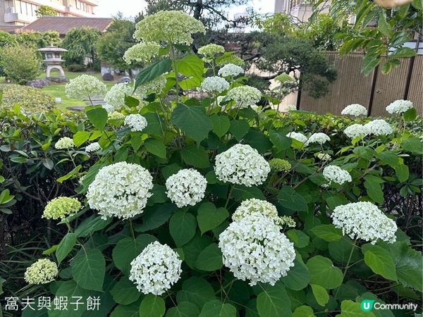 日本關西自駕遊 (13) | 滋賀縣 | 琵琶湖綠水亭温泉酒店