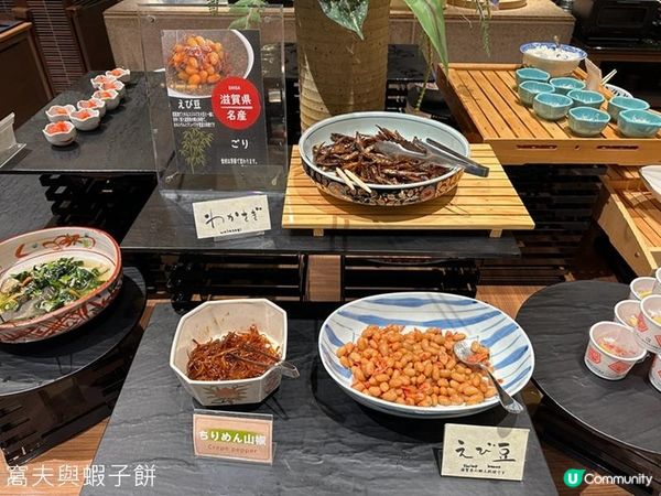 日本關西自駕遊 (13) | 滋賀縣 | 琵琶湖綠水亭温泉酒店