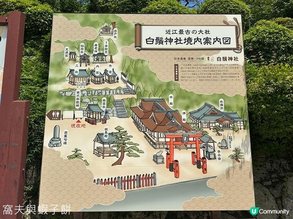 日本關西自駕遊 (14) | 滋賀縣 | 白鬚神社