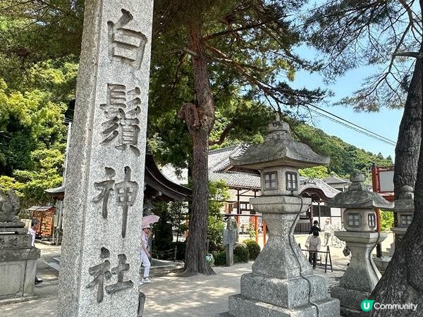 日本關西自駕遊 (14) | 滋賀縣 | 白鬚神社