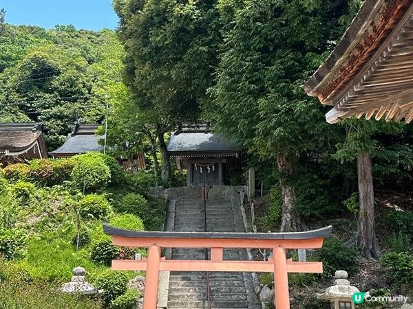 日本關西自駕遊 (14) | 滋賀縣 | 白鬚神社