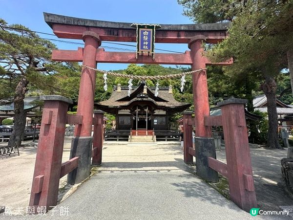 日本關西自駕遊 (14) | 滋賀縣 | 白鬚神社