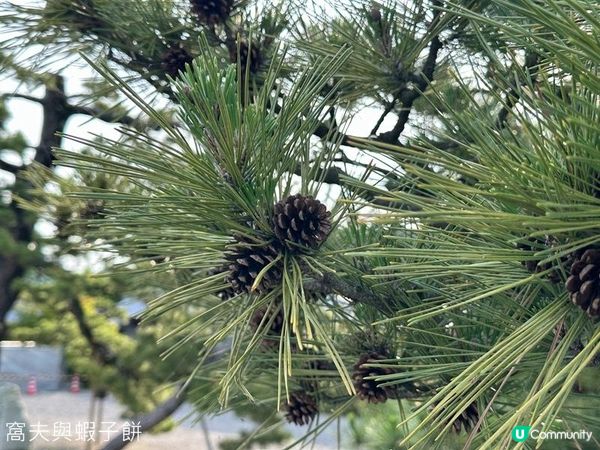 日本關西自駕遊 (16) | 滋賀縣 | 浮御堂