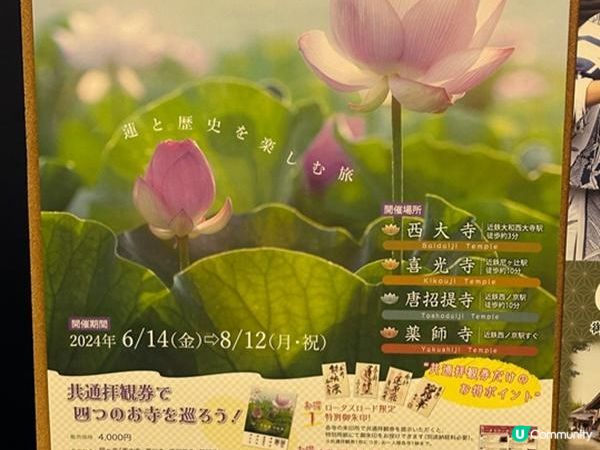 日本關西自駕遊 (17) | 奈良站 | Hello Kitty HARUKA