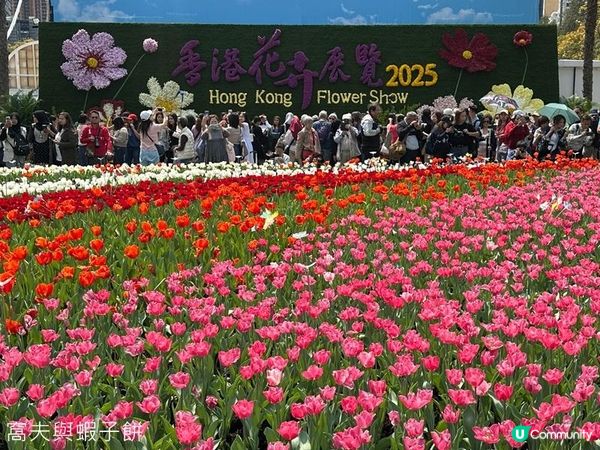 香港好去處 | 賞花 | 維園花展 | 百花齊放