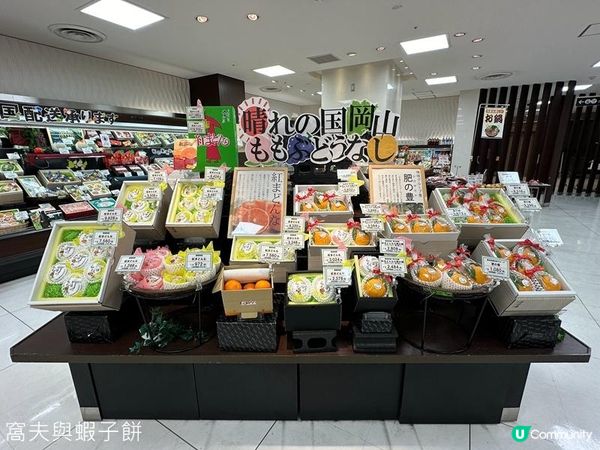 日本關西廣域八天之旅 | 食在倉敷 | 梅之木味噌豬排