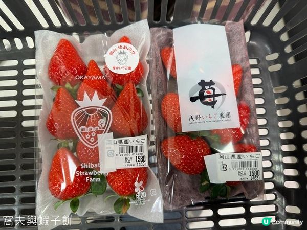 日本關西廣域八天之旅 | 食在倉敷 | 梅之木味噌豬排