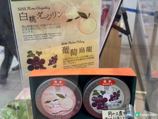 日本關西廣域八天之旅 | 倉敷岡山購物日