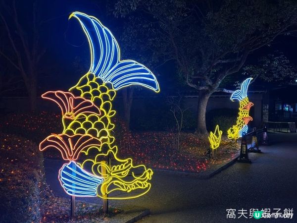 日本關西廣域八天之旅 | 大阪城燈光秀