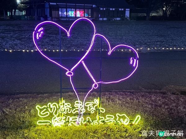 日本關西廣域八天之旅 | 大阪城燈光秀