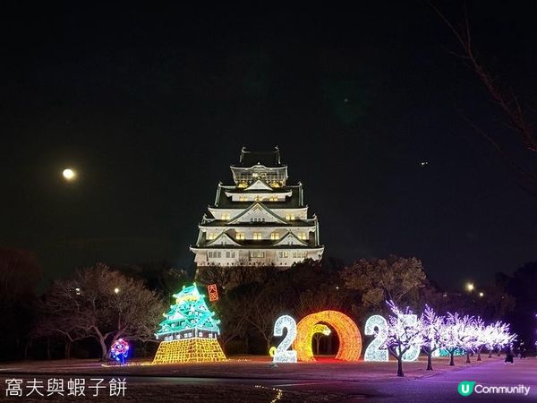 日本關西廣域八天之旅 | 大阪城燈光秀