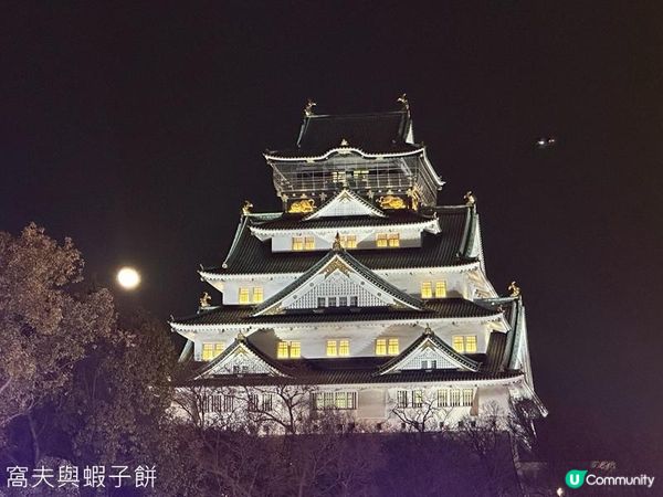 日本關西廣域八天之旅 | 大阪城燈光秀